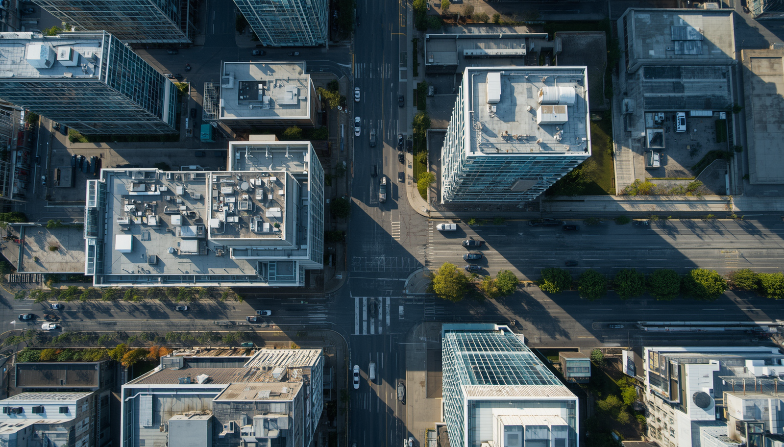 PHABC turns dense action plans into executive-ready overviews.